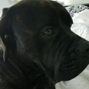 Meet your Posher, Leigh ann